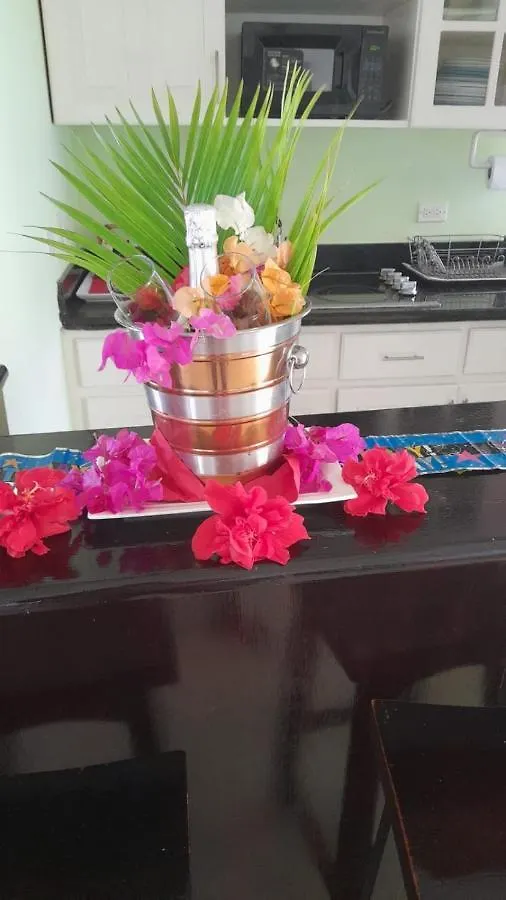 Apartment River Side Apt 9 @ Mystic Ridge. Ocho Rios